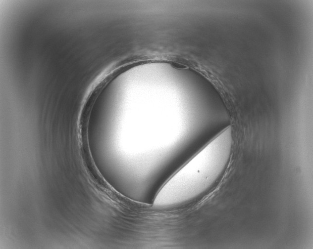 X0000066540246200603171102