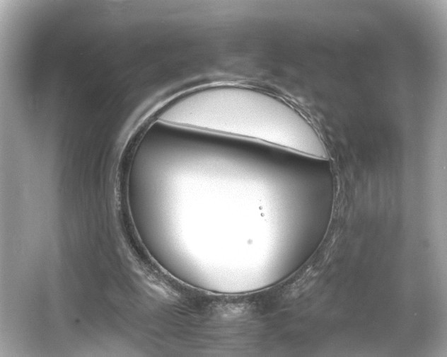 X0000066540247200603171102