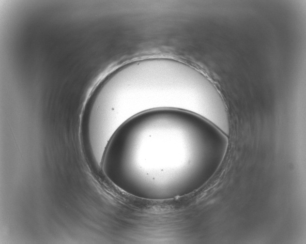 X0000066540248200603171102