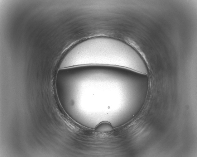 X0000066540249200603171102