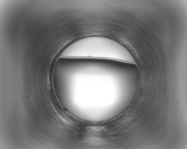 X0000066540251200603171102