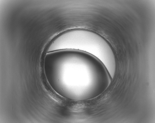 X0000066540252200603171103