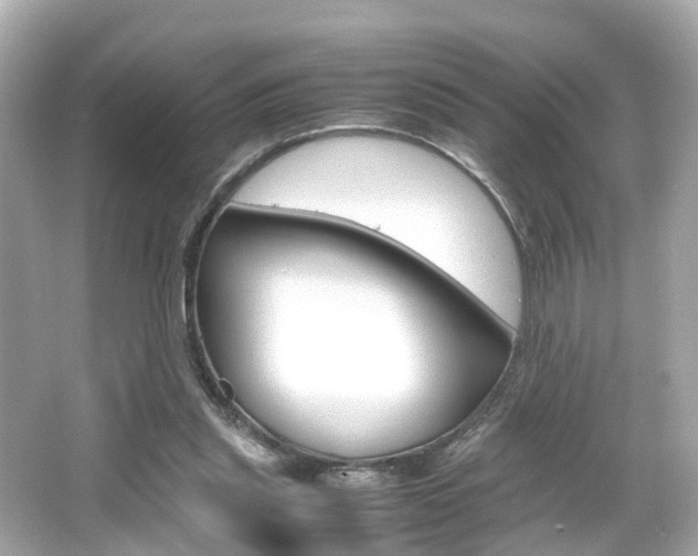 X0000066540253200603171103