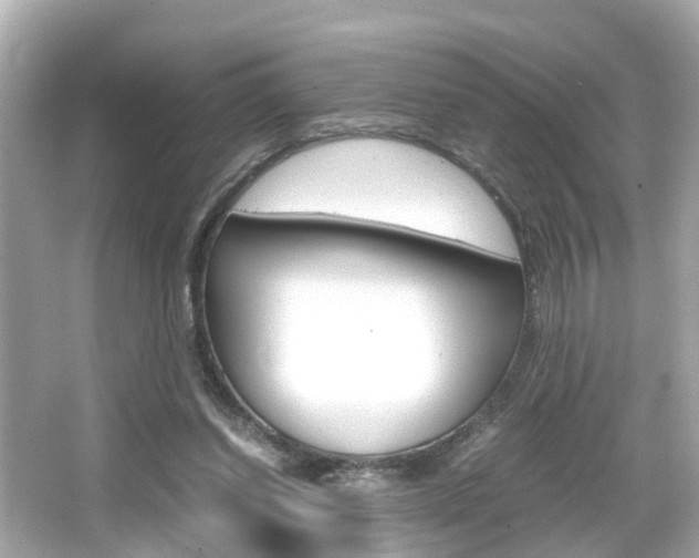 X0000066540254200603171103