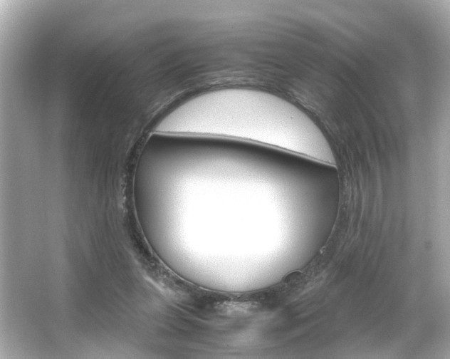 X0000066540255200603171103