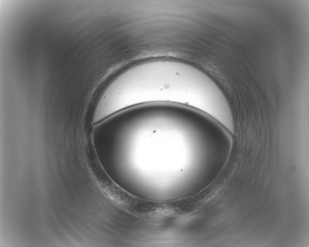 X0000066540256200603171103