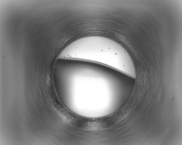 X0000066540259200603171103