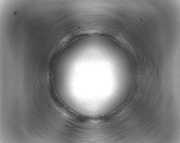 X0000066540260200603171103