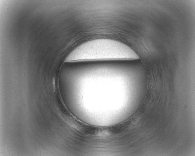 X0000066540262200603171103