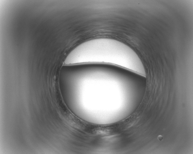 X0000066540263200603171103