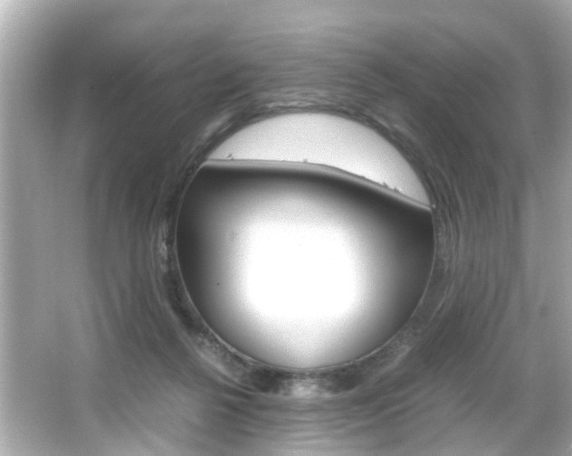 X0000066540264200603171103