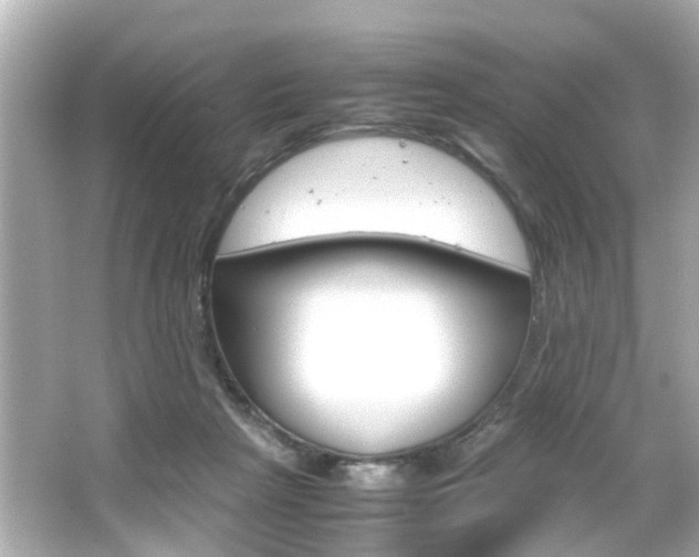 X0000066540265200603171103