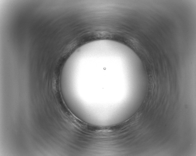 X0000066540266200603171103