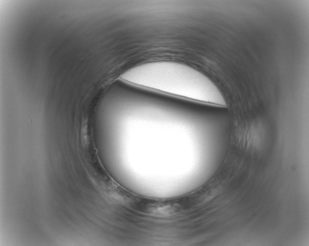 X0000066540267200603171103