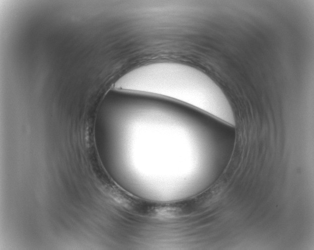 X0000066540268200603171103