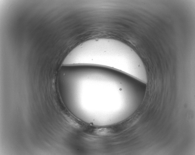 X0000066540269200603171103