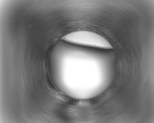 X0000066540270200603171103