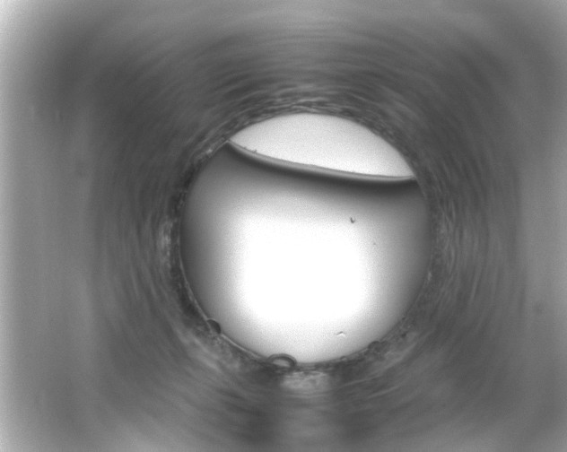 X0000066540271200603171103