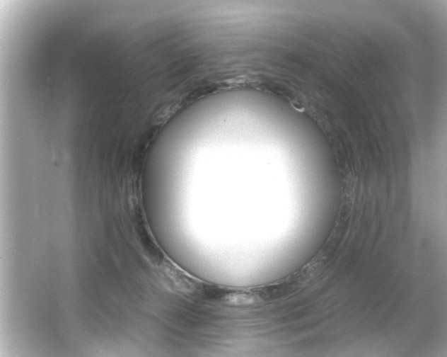 X0000066540272200603171103