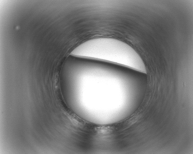 X0000066540273200603171103