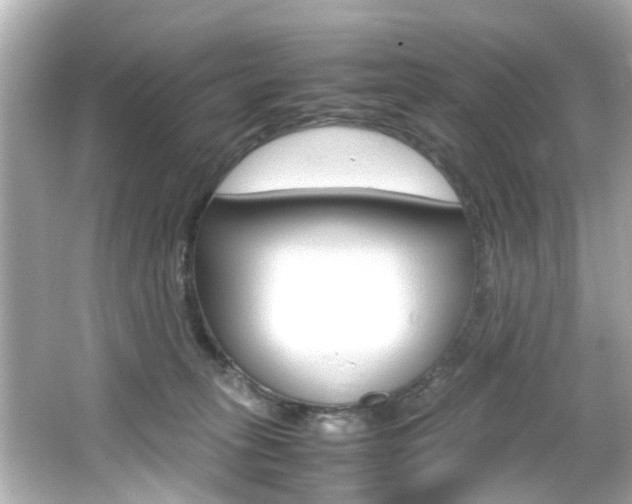 X0000066540275200603171103