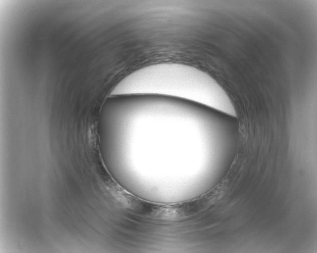 X0000066540276200603171103