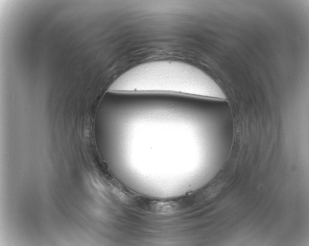 X0000066540277200603171103