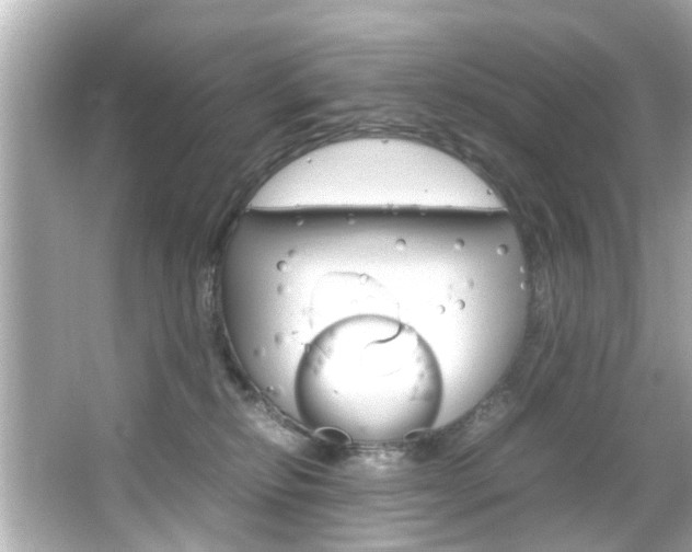 X0000066540278200603171103