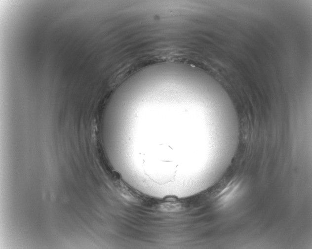 X0000066540279200603171103