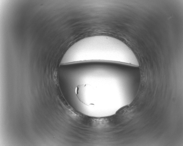 X0000066540281200603171103