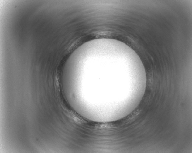 X0000066540282200603171103