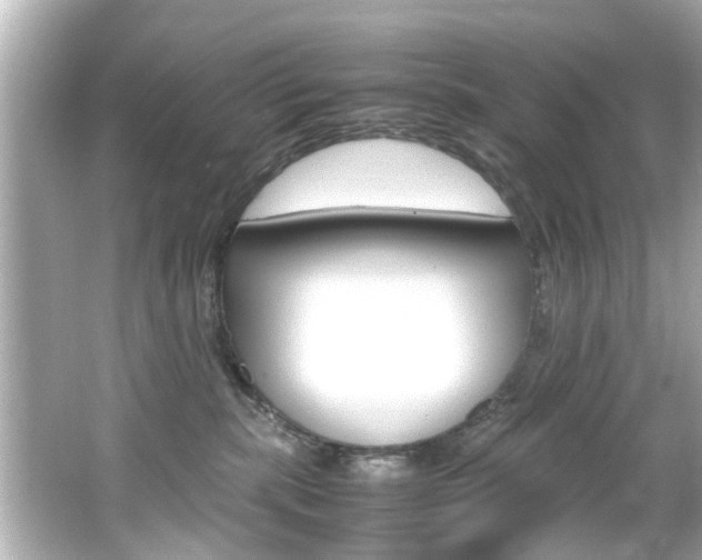 X0000066540283200603171103