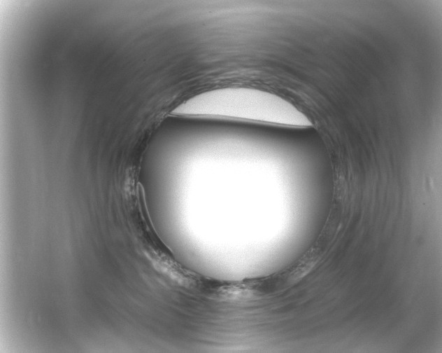 X0000066540284200603171103