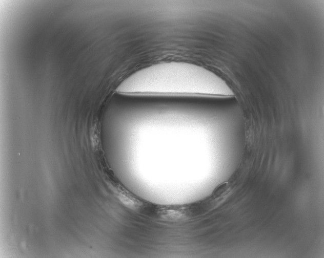 X0000066540285200603171103