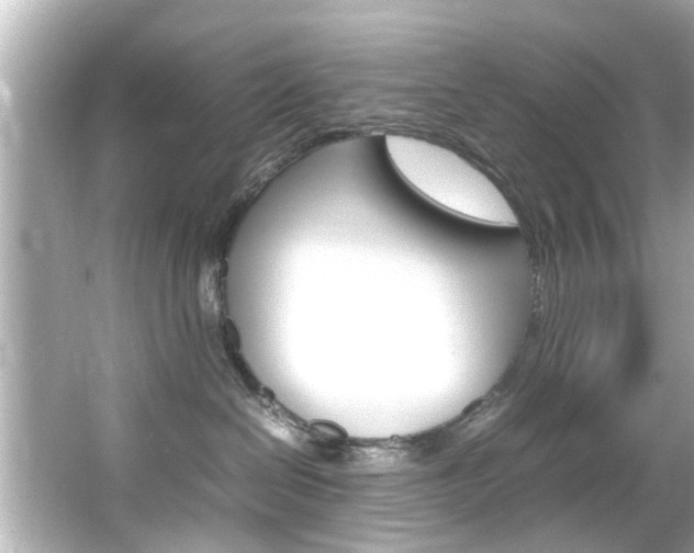 X0000066540286200603171103