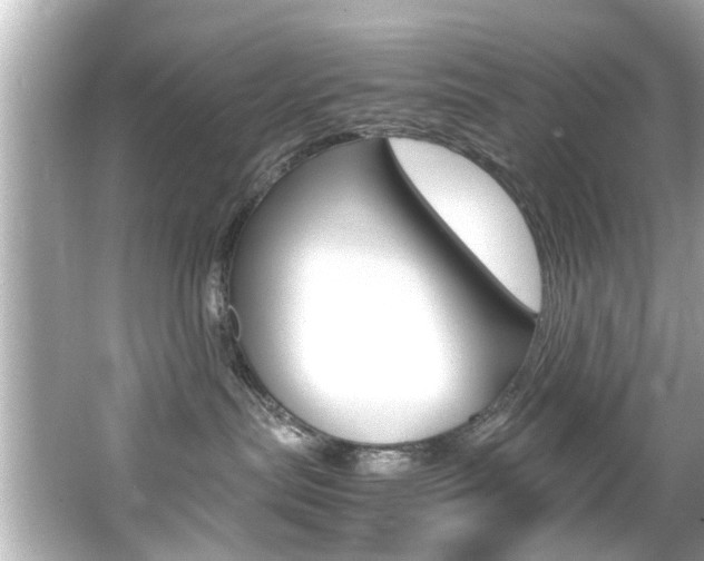 X0000066540287200603171103