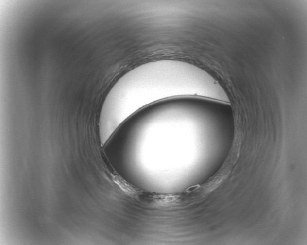 X0000066540288200603171103