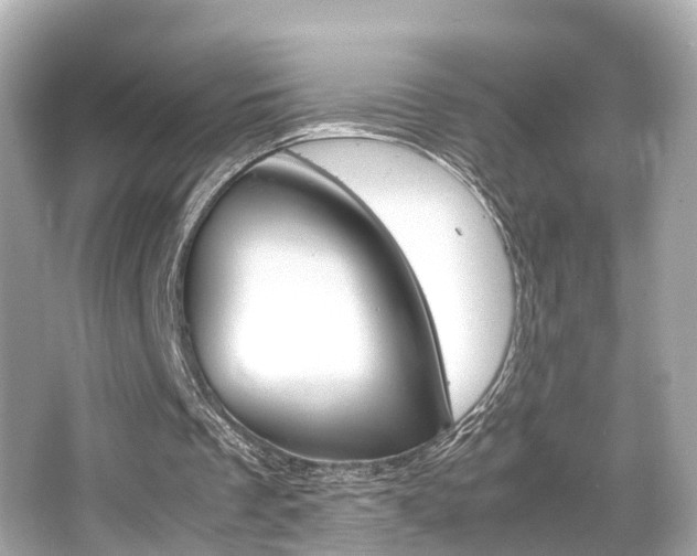 X0000066540289200603171102