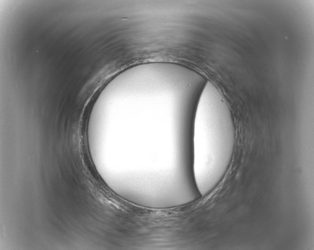 X0000066540290200603171102