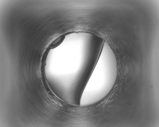 X0000066540292200603171102