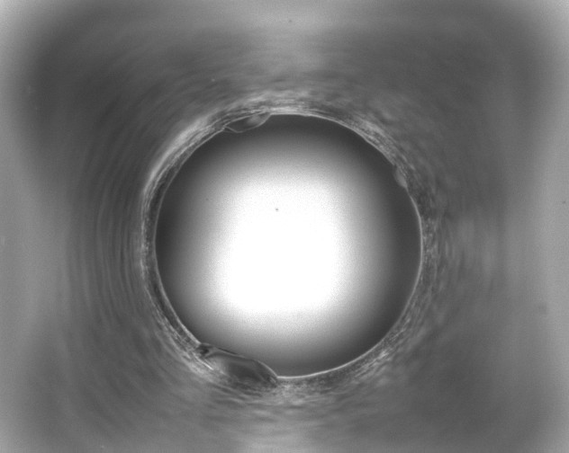 X0000066540293200603171102