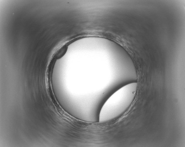 X0000066540294200603171102