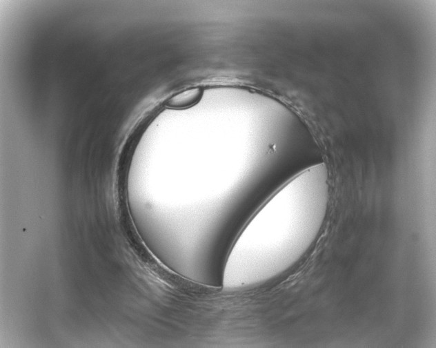 X0000066540296200603171102