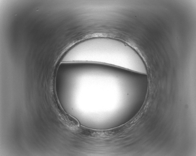 X0000066540297200603171102