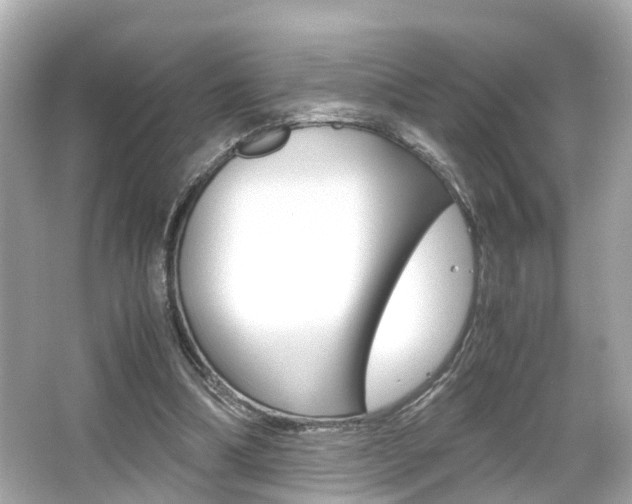 X0000066540298200603171102