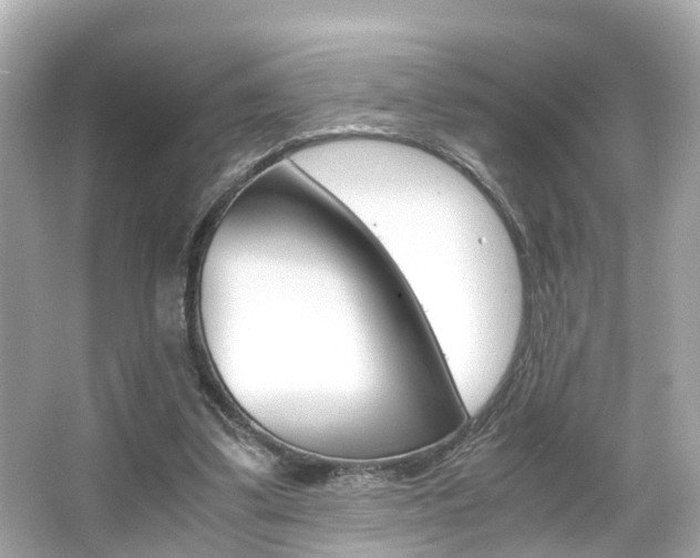 X0000066540299200603171102