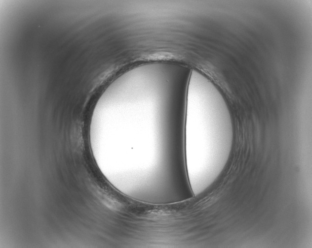 X0000066540300200603171102