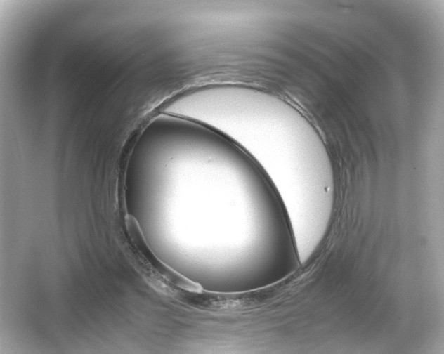 X0000066540301200603171102