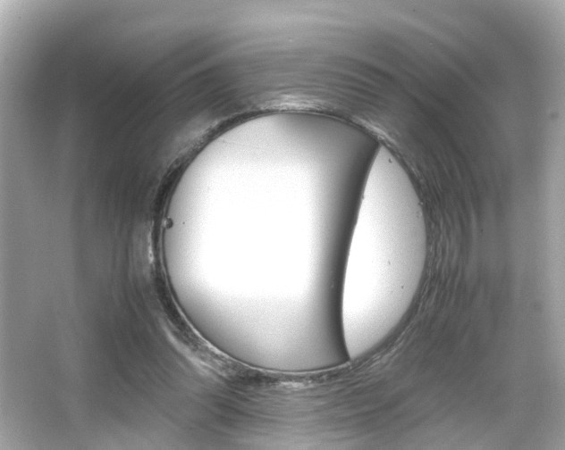 X0000066540302200603171102