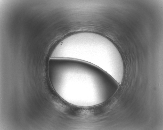 X0000066540303200603171102